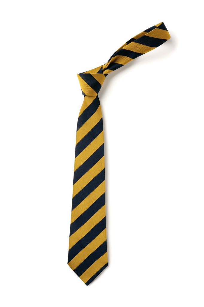 Broad Stripe Tie