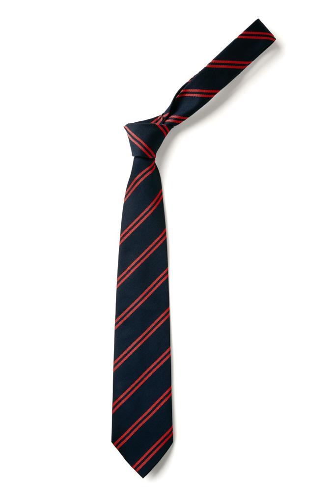 Double Stripe Tie