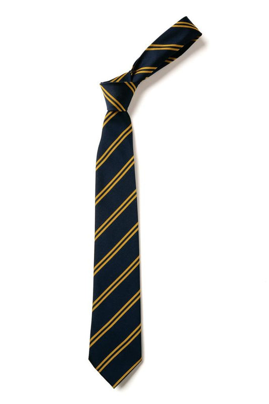 Navy/Gold Lakeview Double Stripe Tie