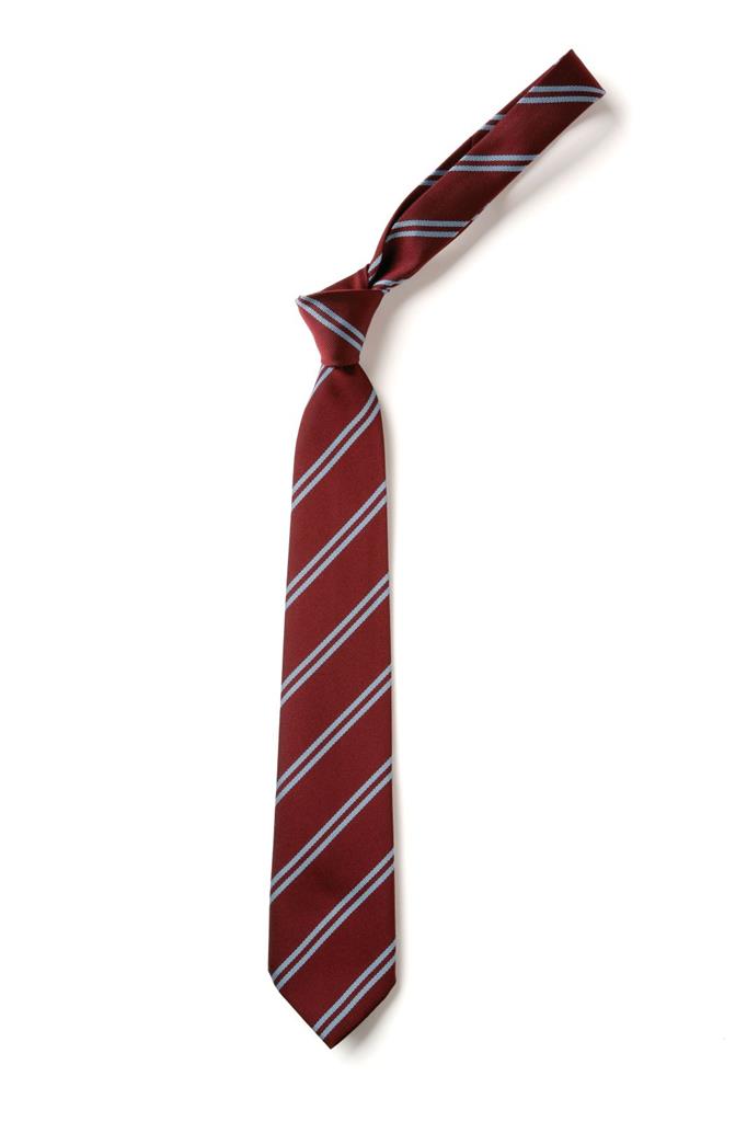 Double Stripe Tie