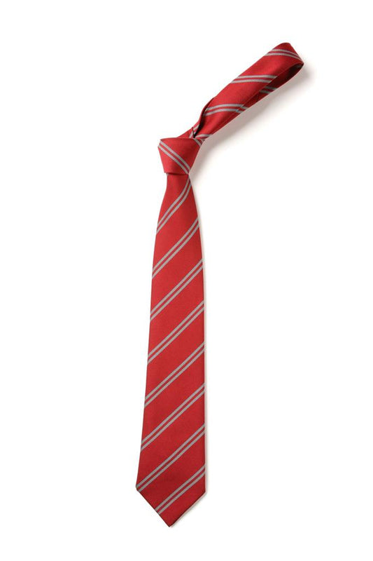 Double Stripe Tie