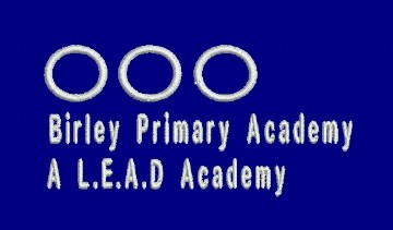 Birley Primary Academy School