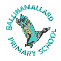 Ballinamallard Primary School