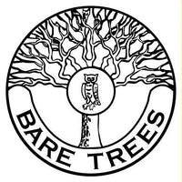 Bare Trees Primary School