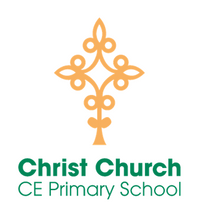Christ Church C E Primary School*