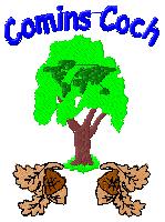 Comins Coch Primary School