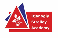 Djanogly Strelley Academy - Pupils
