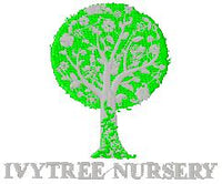 Ivytree Nursery Group