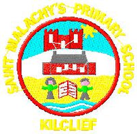 St Malachy's (kilclief) Primary School