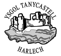 Ysgol Tan Y Castell