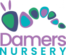 Wessex Multi-Academy Trust c/o Damers Nursery