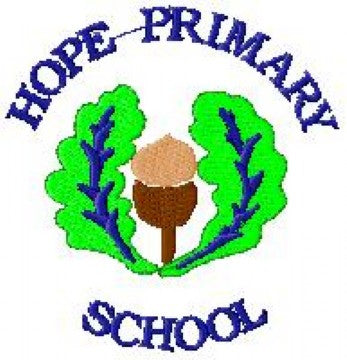 Hope Primary School – School Trends