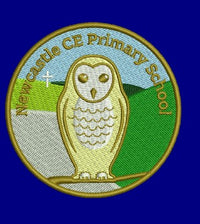 Newcastle C E Primary School