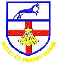 Radley C E Primary School*