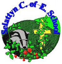 Selattyn C E Primary School