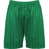 Emerald PE Shorts with Shadow Stripe
