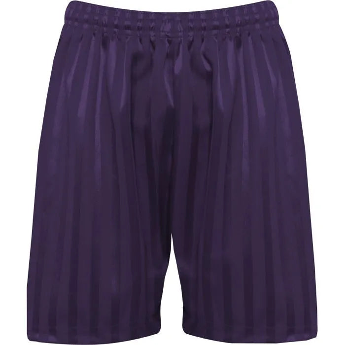 Purple PE Shorts with Shadow Stripe
