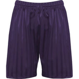 Purple PE Shorts with Shadow Stripe
