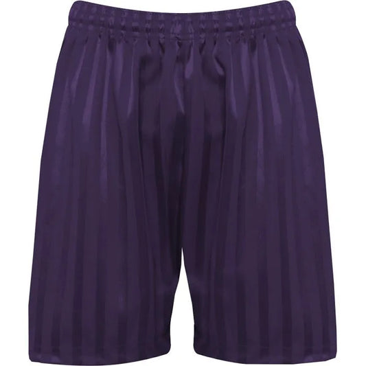 Purple PE Shorts with Shadow Stripe