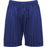 Royal Blue PE Shorts with Shadow Stripe
