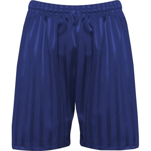Royal Blue PE Shorts with Shadow Stripe