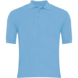 Sky Blue Polo Shirt - Left Chest Embroidered
