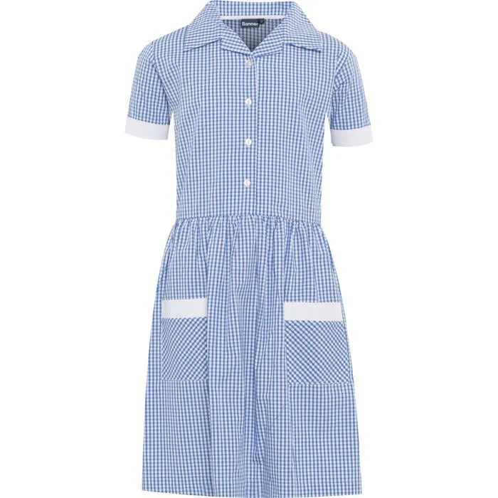 Blue Gingham Summer Dress