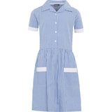 Blue Gingham Summer Dress

