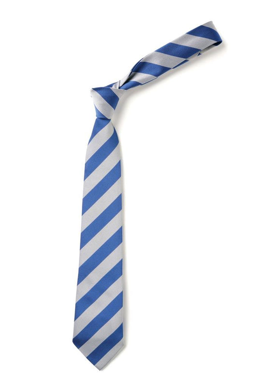 Royal/White KS1 Broad Stripe Elastic Tie