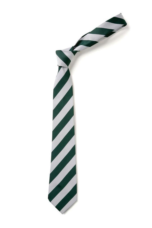 Broad Stripe Tie
