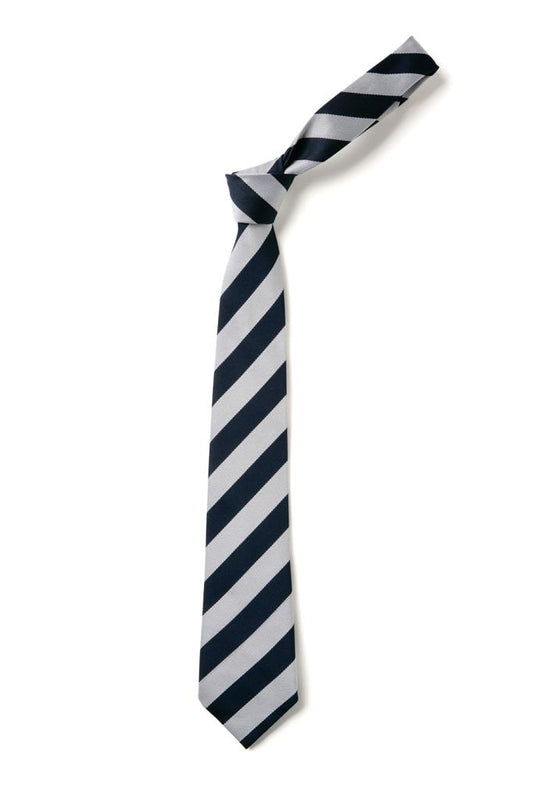 Broad Stripe Tie