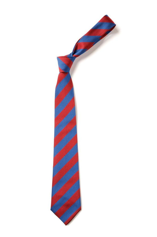 Broad Stripe Tie