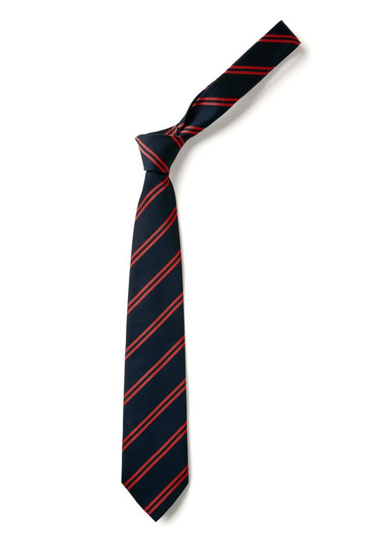 Double Stripe Tie
