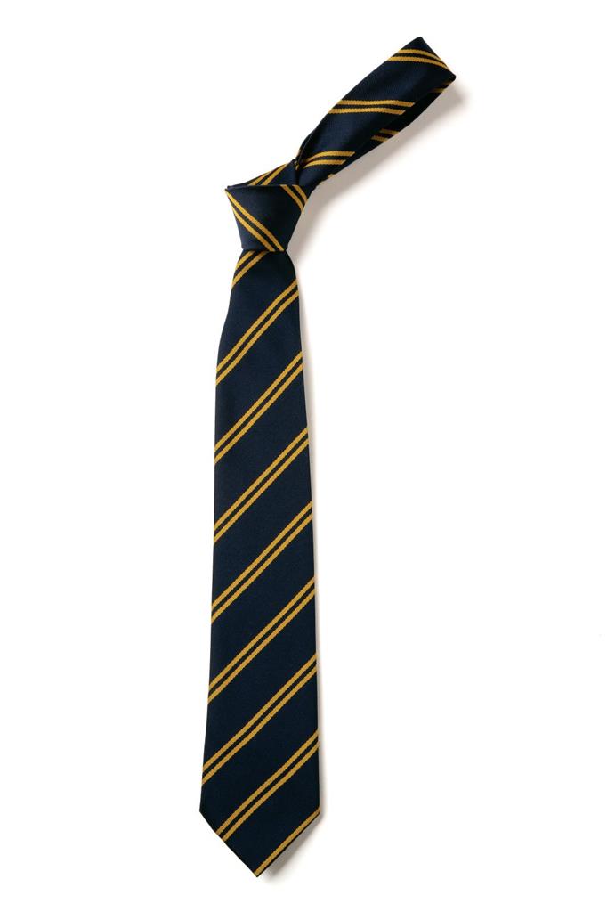 Double Stripe Tie