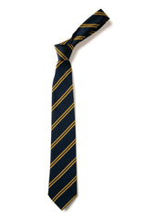 Navy/Gold Lakeview Double Stripe Tie
