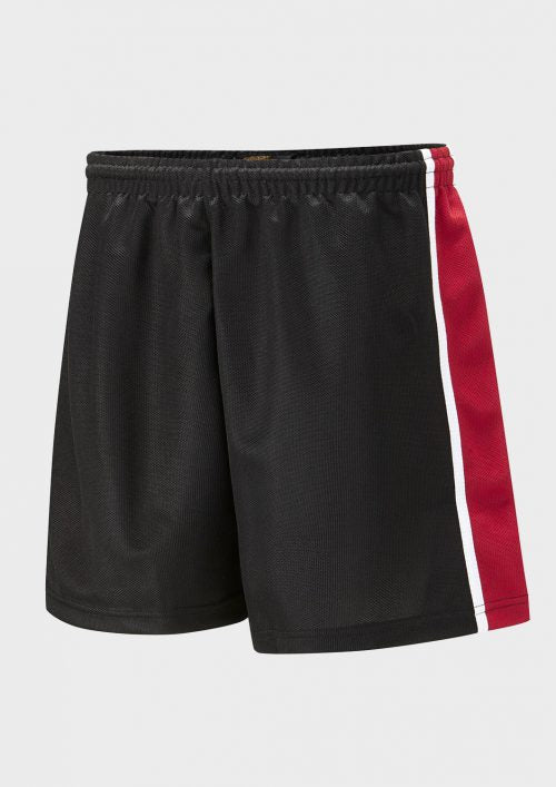 Spirit Sports Shorts