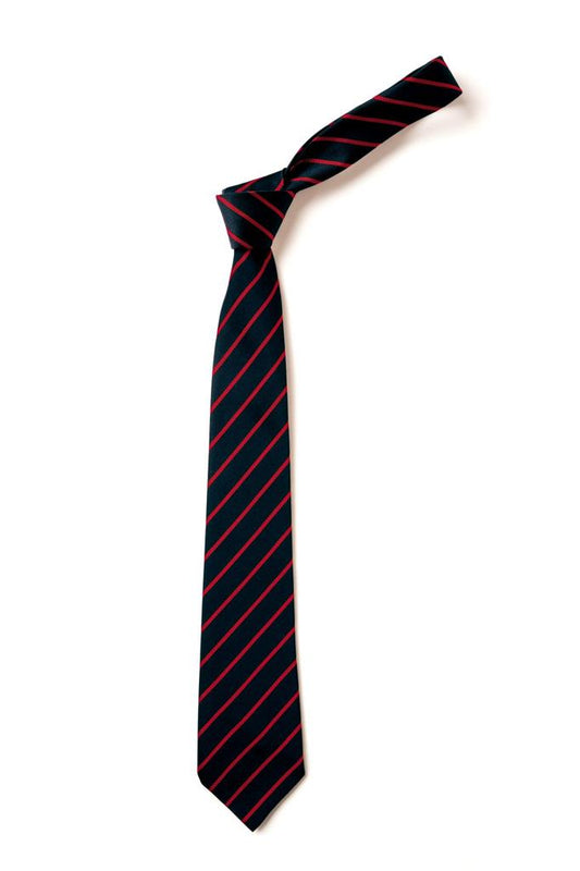 Thin Stripe Tie