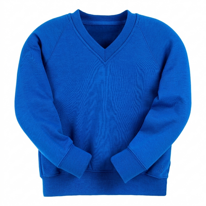 Essential V-Neck Sweatshirt