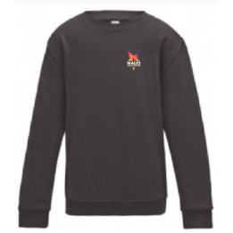 Charcoal Grey Sweatshirt - Kids