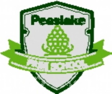 Peaslake Free School